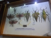 p1050954