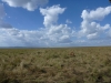 p1000368