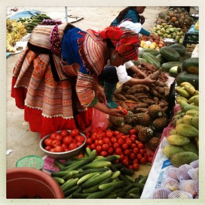 Bac Ha