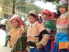 dsc06341